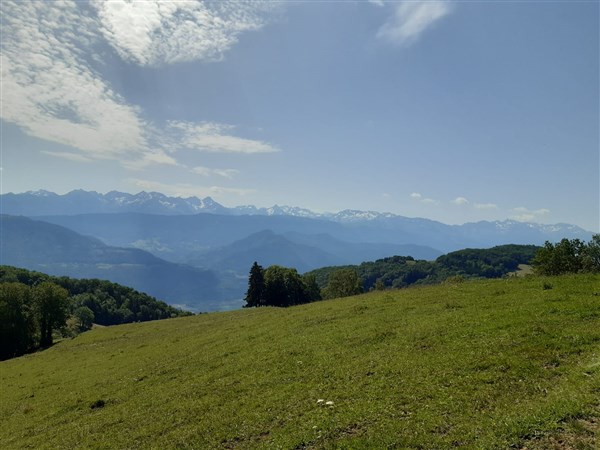 Stage Jeûne et Yoga juillet 2020 18