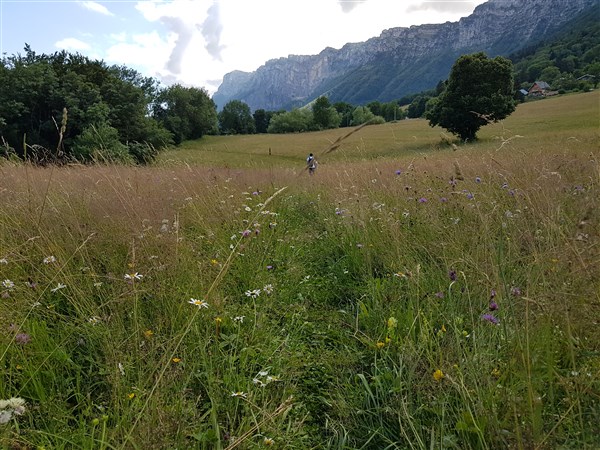 Stage Jeûne et Yoga juillet 2021 8