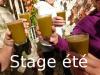 les jus de légumes du stage été 