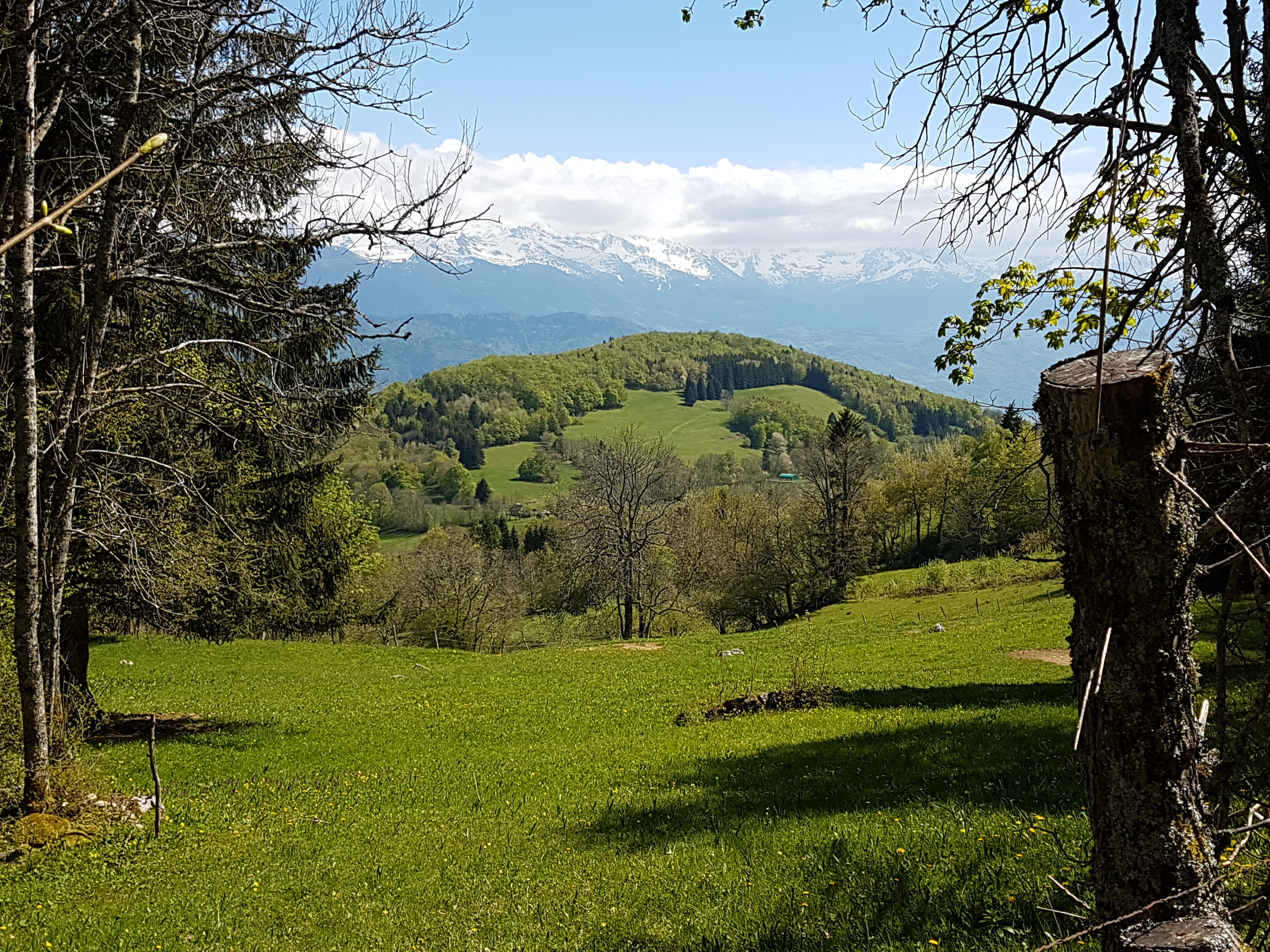 Stage Rando Paysage