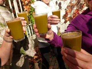 Les jus du stage de novembre 2015 Jeûne et Yoga